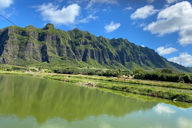 Private Circle Island Off-the-Beaten- Oahu Tour - What You’re Really Getting on This Private Circle Island Day