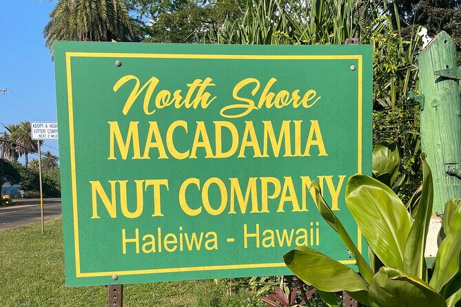 Private Circle Island Tour North Shore and East Side - Byodo-in Temple Hawaii in the Valley of Temples: pause time that helps the whole day