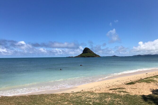Private Full-Day Circle Island Guided Small-Group up to 6 (Se habla Español) - North Shore Food and Beaches: Sea Turtles, Surfers, and Huli Huli Chicken