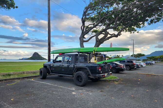 Private North Shore Hawaiian outrigger Canoe and turtle adventure - Sea turtles, snorkeling, and dolphin possibilities: what to expect when the water is the attraction