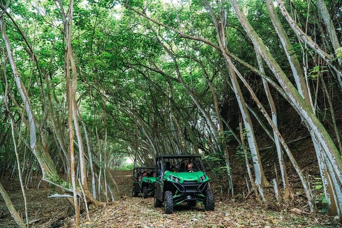 Private Off Road Explorer's Tour - Getting to the meeting point: Laie makes it workable