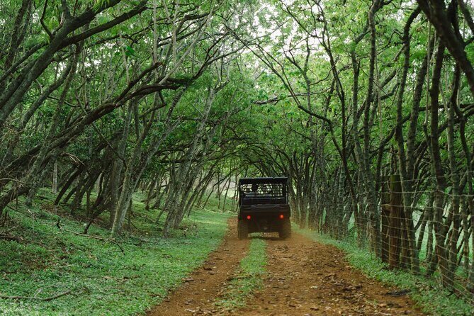 Private Off Road Explorer's Tour - WWII sites plus ranch views: making history feel real