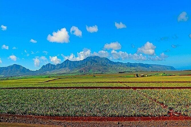 Private Pearl Harbor and Mini Circle Island Tour from Waikiki - Key Highlights That Matter on This Private Day