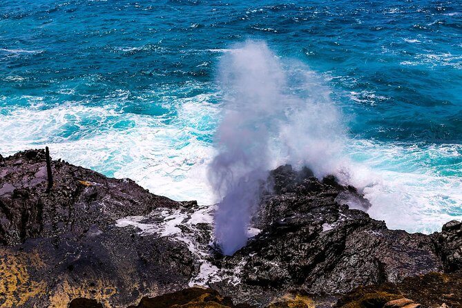 Private Pearl Harbor and Scenic Oahu Tour - North Shore Oahu: Surf Town Energy, Dole, Shrimp, and Movie-Set Views