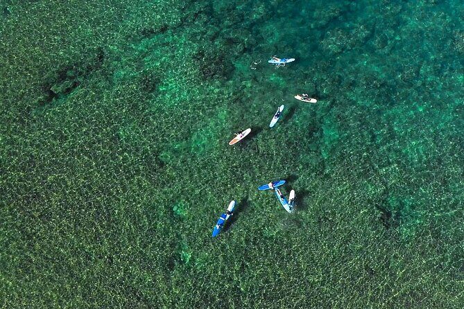 Private Surf Lesson for 3-5 People in North Shore Oahu - Safety briefing and surfing etiquette: the rules that make the ocean feel calmer