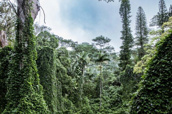 PRIVATE TOUR-Hike Diamond Head & Hawaiian Waterfall - A 6:00 am start that actually helps (and not just on paper)