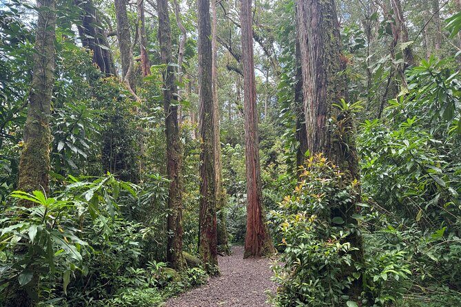 PRIVATE TOUR-Hike Diamond Head & Hawaiian Waterfall - How hard is it, really? A realistic fitness check for both trails