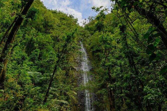PRIVATE TOUR-Hike Diamond Head & Hawaiian Waterfall - What to pack for a Diamond Head plus Manoa morning