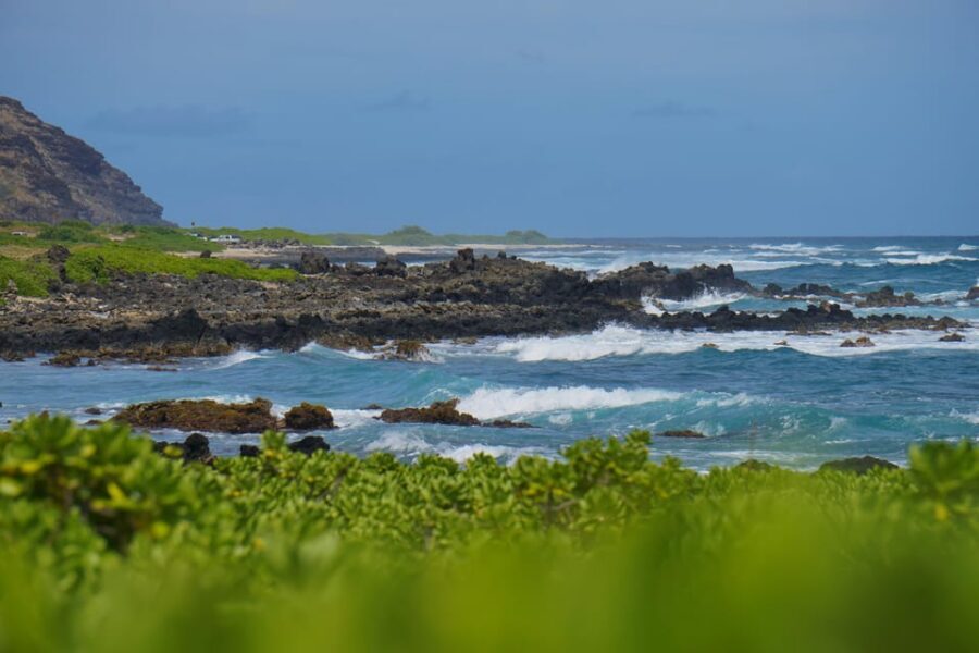 Private Tour Oahu-Circle Island-Customizable - A Private 8-Hour Circle Island Route From Honolulu (Not a Bus Tour)