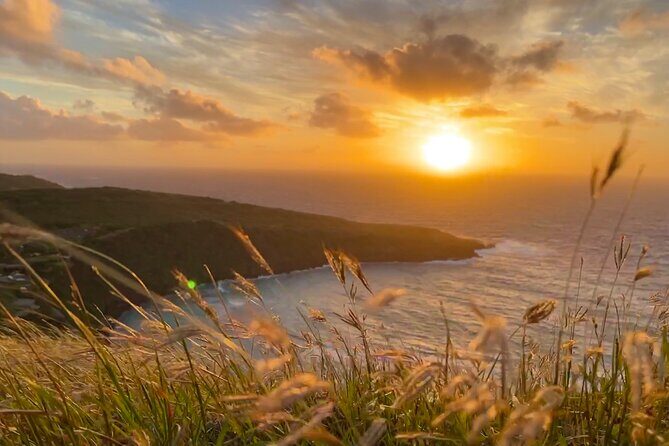 Private Tour Oahu - up to 6 passengers - Customizable - Driving Past the Koʻolau Cliffs: The Windward Road Experience