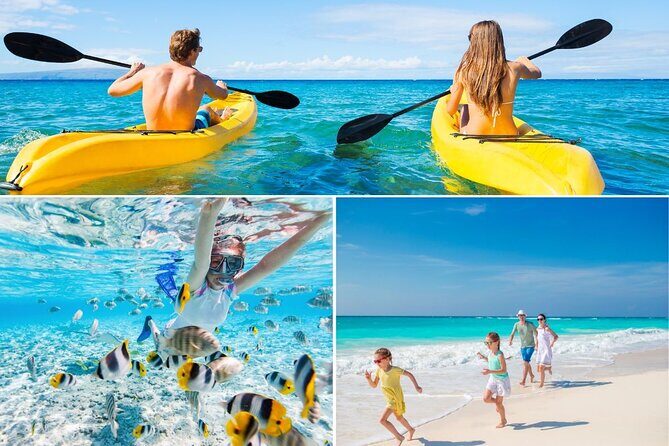 PRIVATE TOUR-Ultimate North Shore Experience - Waimea Valley and 45-foot Waimea Falls: your ¾-mile walk to swim time