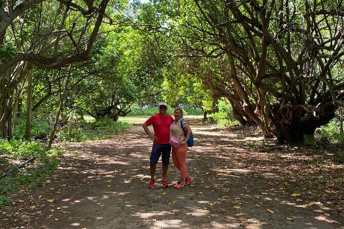 PRIVATE TOUR-Ultimate North Shore Experience - Turtle Bay Beach: snorkeling gear included when weather allows