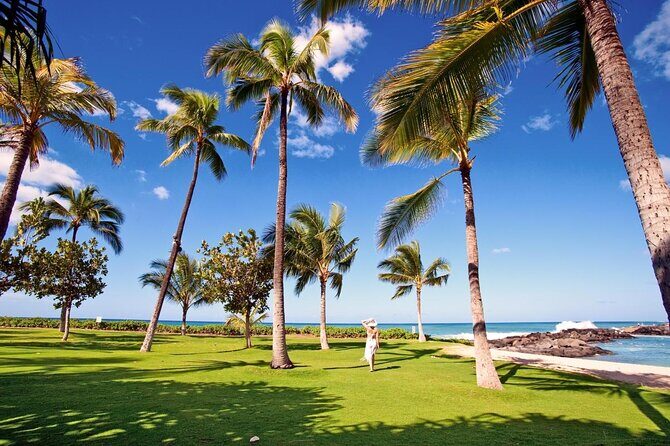 Private Transfer from Honolulu (HLN) Airport to Ko Olina - Key Things to Know Before You Go