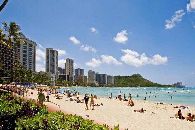 Private Transfer: Honolulu Airport HNL to Honolulu in Sedan Car - Key Points You’ll Care About