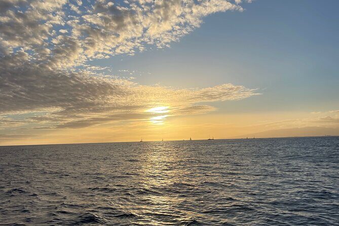 Private Waikiki Boat Charter – Create Your Own Ocean Experience - Snorkeling with included gear (and the marine-life odds)