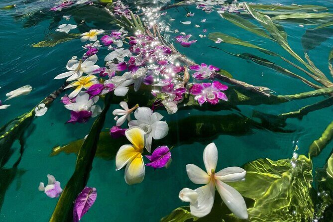 Private Waikiki Boat Charter – Create Your Own Ocean Experience - Who this charter suits (and who should choose something else)