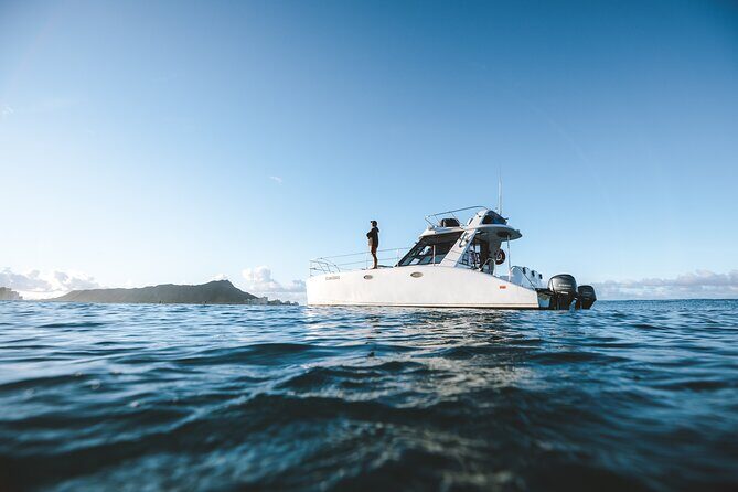 Private Whale Watching and Coastal Swimming Tour Honolulu - Getting Started at Hawaii Ocean Charters (and What to Bring)