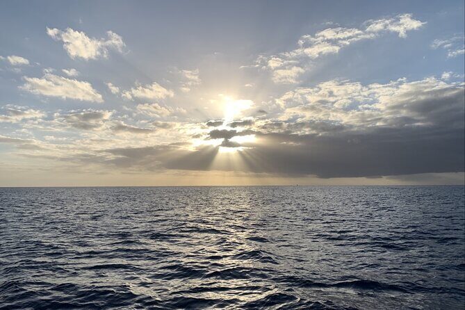 Private Whale Watching and Dolphin Excursion - A Private Whale-and-Dolphin Trip That Still Feels Like a Real Adventure