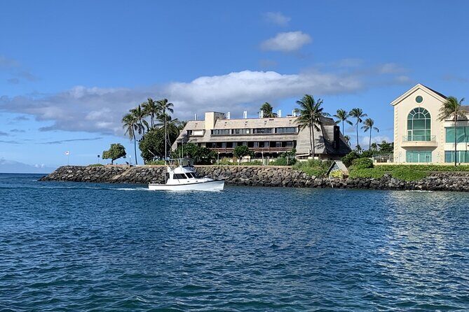 Private Whale Watching and Dolphin Excursion - Weather and Flexibility: Planning Without Losing Your Day