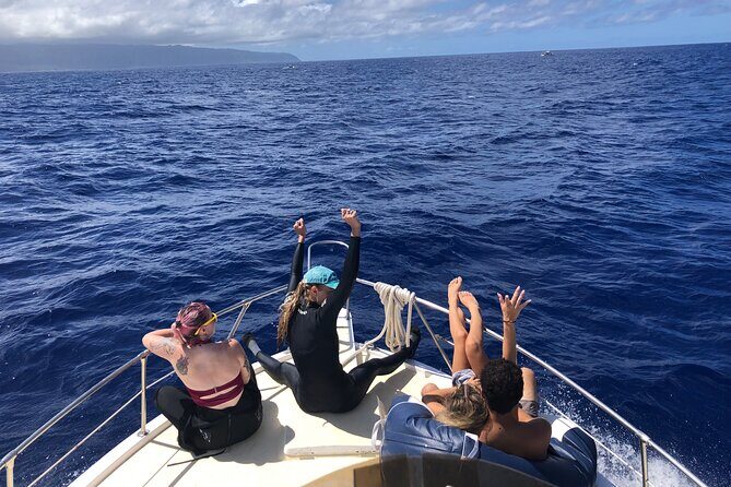 Private Whale Watching Safari from North Shore Oahu - Timing, Weather, and What You Should Expect on the Day