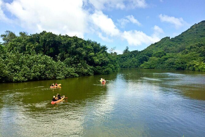 Rainforest River Kayak Self-Guided Kayak Tour - Gear, drybag tips, and swim-ready prep