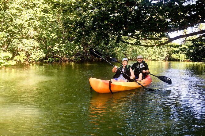 Rainforest River Kayak Self-Guided Kayak Tour - Price and value: is $82 a fair deal?