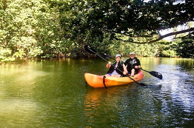 Rainforest River Kayak Self-Guided Kayak Tour - Should you book this self-guided rainforest kayak?