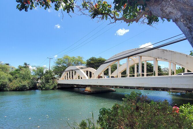 Round Trip North Shore Shuttle from Waikiki to Haleiwa Town / Haleiwa Harbor - Waikiki Pickup Points: Where You’ll Be Waiting