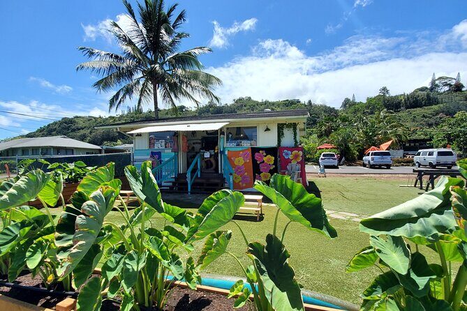 Round Trip North Shore Shuttle from Waikiki to Haleiwa Town / Haleiwa Harbor - Haleiwa Boat Harbor: Views, Walking, And Easy Water Access