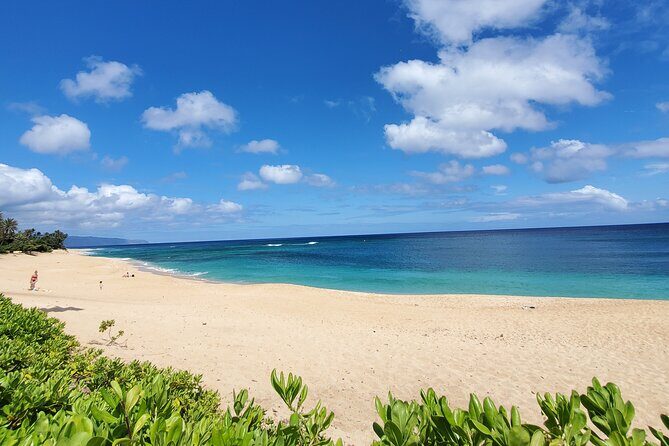 Round Trip North Shore Shuttle from Waikiki to Haleiwa Town / Haleiwa Harbor - Driver Service And Small Group Comfort: The Part That Makes It Feel Easy
