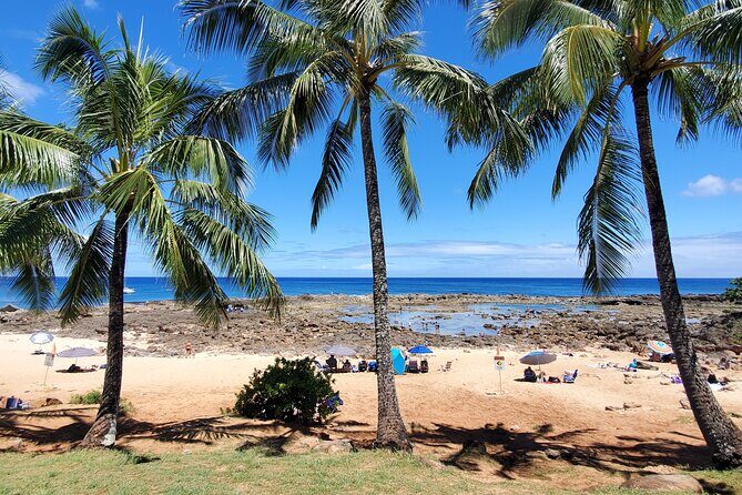 Round Trip North Shore Shuttle from Waikiki to Haleiwa Town / Haleiwa Harbor - Should You Book This North Shore Shuttle?