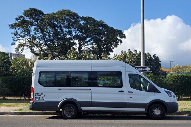 Round Trip North Shore Shuttle from Waikiki to Haleiwa Town / Haleiwa Harbor - Haleiwa Town And North Shore Marketplace: Your First Stretch Of Freedom
