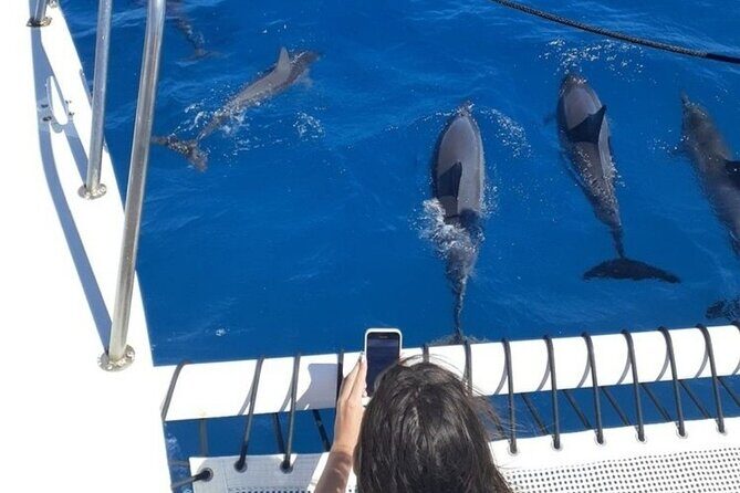 Sail and Turtle Snorkeling Tour in Waikiki - Who this Waikiki turtle snorkeling tour is best for