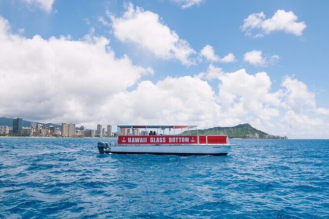 Sea Safari, Dolphins, Turtles and Waikiki Cruise - Stop 2: the Waikiki coastline cruise and what you’ll scan for