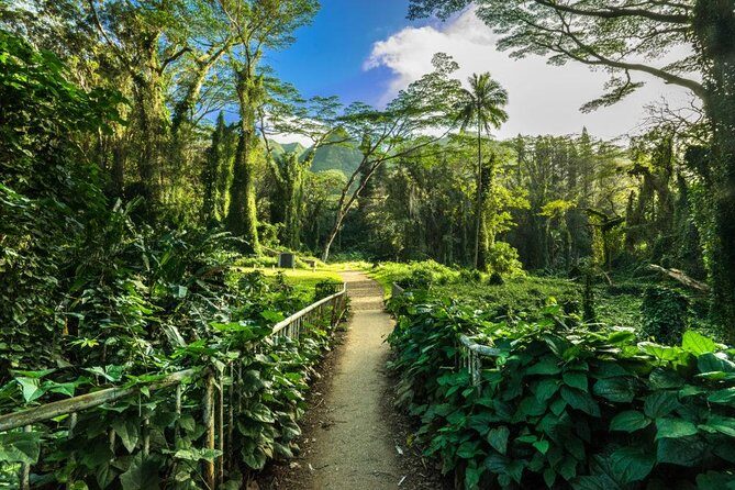 Self Guided Hike Trail to Nature Walk & Waterfall - Rainbow Valley to Manoa Falls: a rainforest hike with real payoff