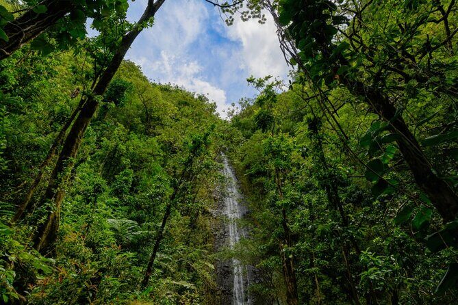 Self Guided Hike Trail to Nature Walk & Waterfall - Tantalus Lookout: Diamond Head to Waikiki skyline views