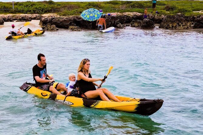 Self-Guided Kayaking Tour in Kailua Bay and Popoia Island - Price and logistics: what $82 really covers