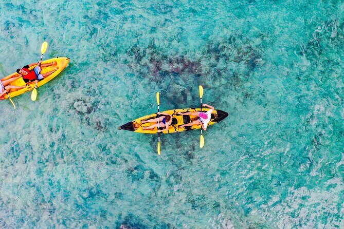 Self-Guided Kayaking Tour in Kailua Bay and Popoia Island - Who this kayak day is best for
