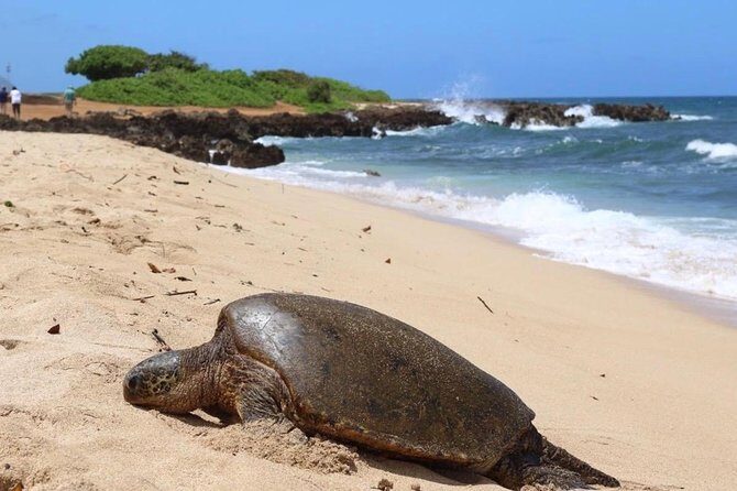 Semi-Private Surf Lesson - What 17 Five-Star Ratings Usually Mean in Real Terms