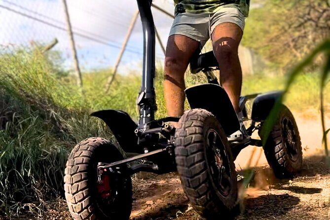 Stand Up ATV/Quad Jungle Trail Adventure - Your 50 Minutes on the Trails: What Happens From Briefing to Finish