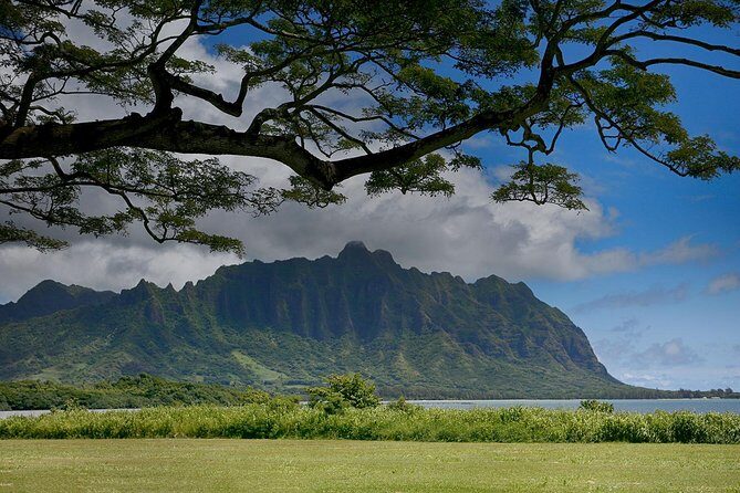Sunrise Plus Island Tour - North Shore Daylight Stops: Getting Out of the Routine