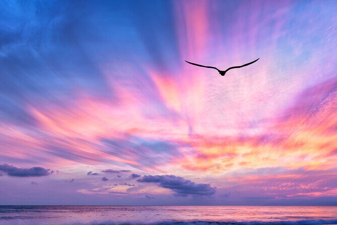 Sunset Cruise along Waikiki Coastline - Timing matters: 5:30 pm and the “just cool enough” sea breeze
