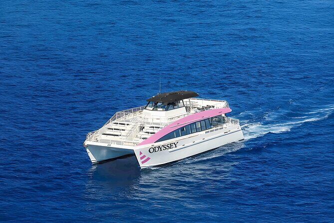 Sunset Cruise & Whale Watching from Oahu - Weather Reality Check: Wind, Light Rain, and a Rocking Ride