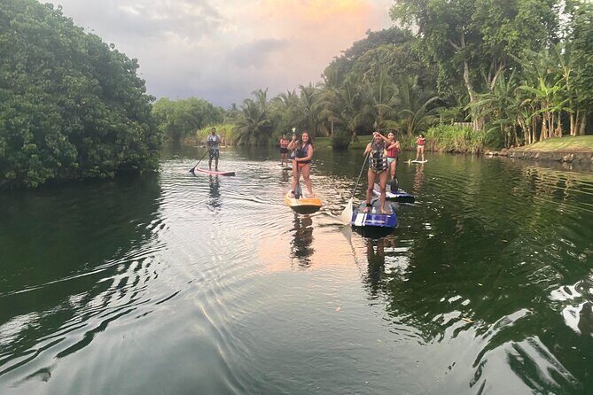 Sunset Stand Up Paddle with Photos and Turtles - Group size, pacing, and why the experience feels personal