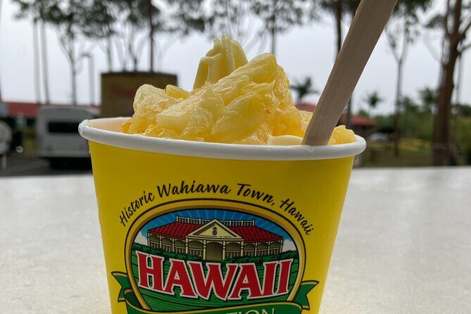 "The Dole Plantation" & "North Shore" Private Limousine VIP Tour! - A Private Limo Day That Cuts Through Oahu Logistics