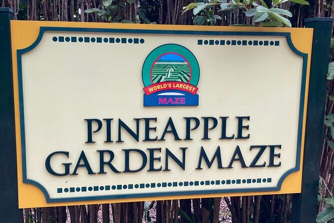 "The Dole Plantation" & "North Shore" Private Limousine VIP Tour! - Timing, Comfort, and What to Bring for the Day