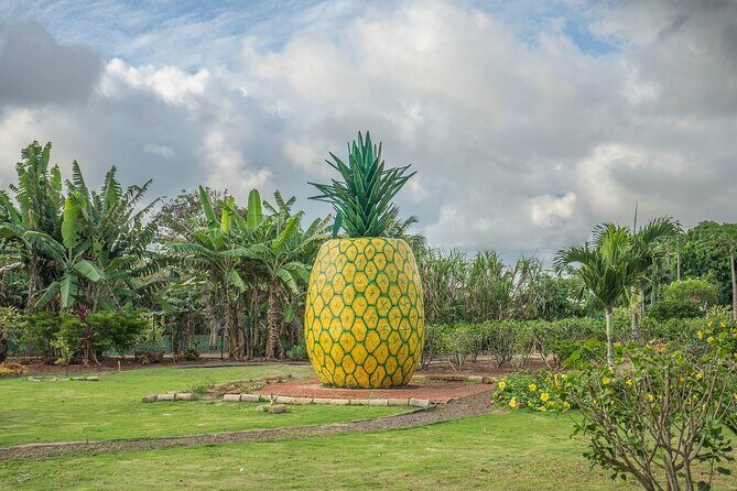 "The Dole Plantation" & "North Shore" Private Limousine VIP Tour! - North Shore Macadamia Nut Company: Quick, Tasty, and Worth the Detour