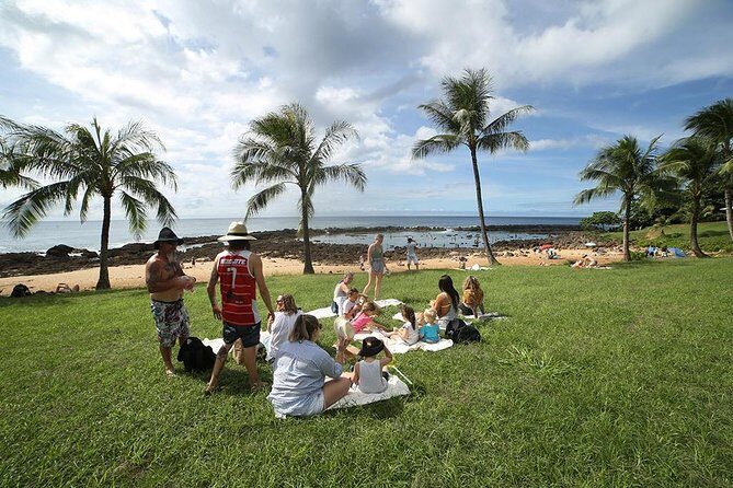 Transportation to North Shore - Waikiki To North Shore: What This Transport Actually Does for You