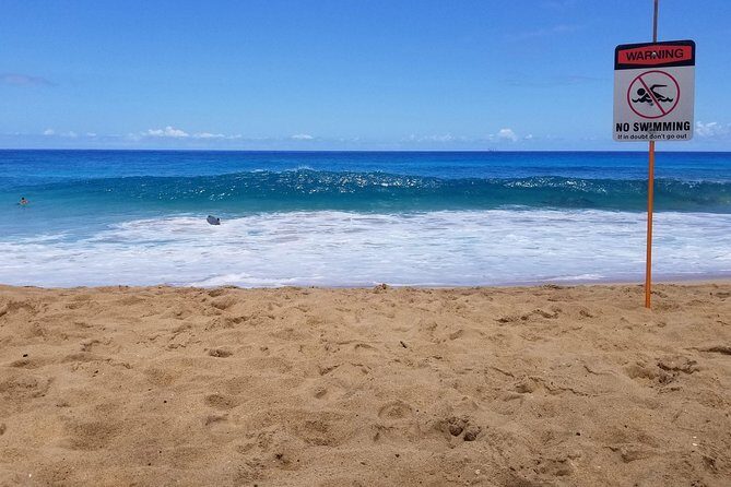 Transportation to North Shore - North Shore Stops: Waimea Valley and Waimea Bay Moments to Watch For
