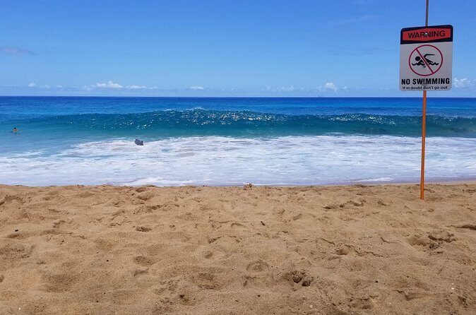 Transportation to North Shore - Local Driver Advice: Why People Bring Up Names Like Acey and Captain Vince
